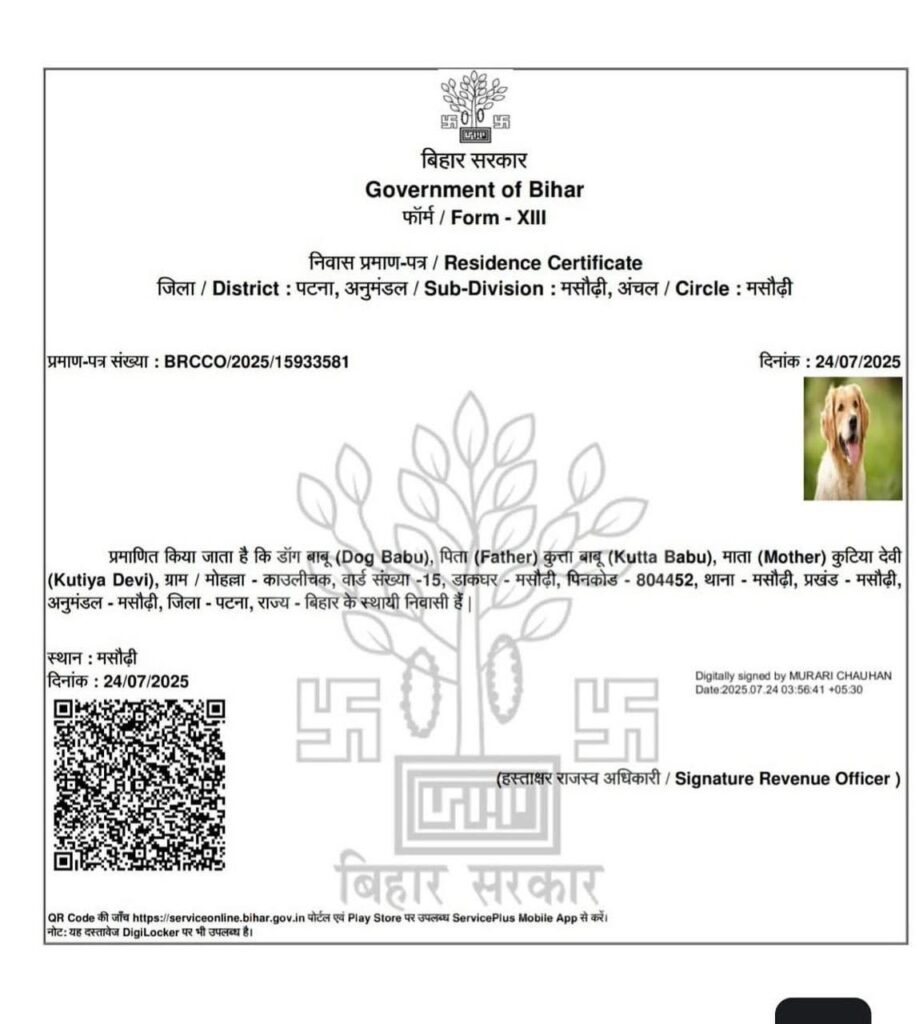 पटना में ‘डॉग बाबू’ के नाम से बना निवास प्रमाण पत्र रद्द, अब अफसरों पर केस, कुत्ते के नाम से जारी हुआ था निवास प्रमाण पत्र