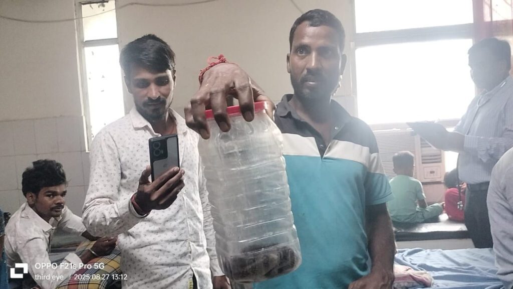 बच्ची को सांप ने डसा, इलाज के लिए परिजन प्लास्टिक डब्बे में जिंदा कोबरा को लेकर पहुंचे अस्पताल,डॉक्टर ने बचाई जान
