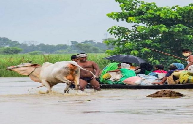 बिहार में मूसलाधार बारिश से पटना समेत कई जिलों में बाढ़ जैसे हालात, गंगा और फल्गु नदी के उफान से गांवों में घुसा पानी, फसलें बर्बाद