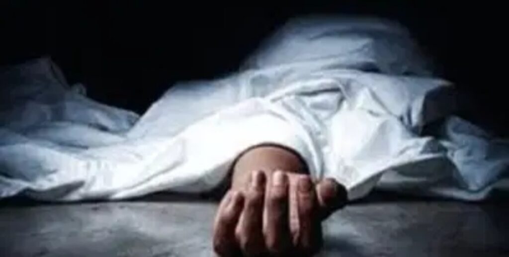 नोआमुंडी में हाथी का कहर, एक ही रात में छह लोगों की मौत से कोल्हान दहला