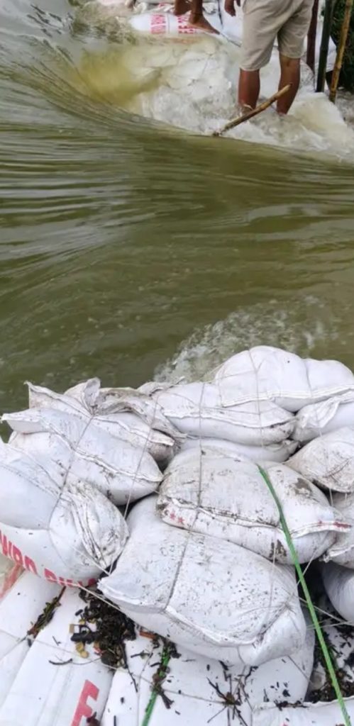 भागलपुर में बाढ़ से 1,000 करोड़ के नुकसान का अनुमान, 9.5 लाख आबादी प्रभावित, गांवों में राहत का इंतजार