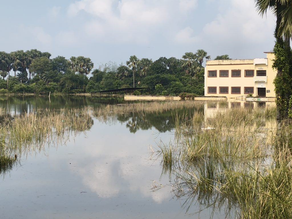 भागलपुर में बाढ़ का कहर: गांवों से पॉश कॉलोनियों तक डूबा शहर, संकट बढ़ा,गोराडीह में दो दर्जन गांव जलमग्न, सड़क पर दो फीट पानी